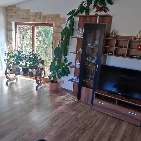 Apartment Am Schloss